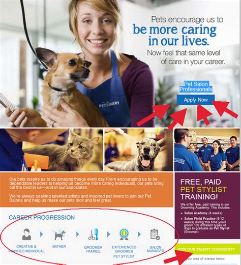 petsmart careers|petsmart careers work from home.